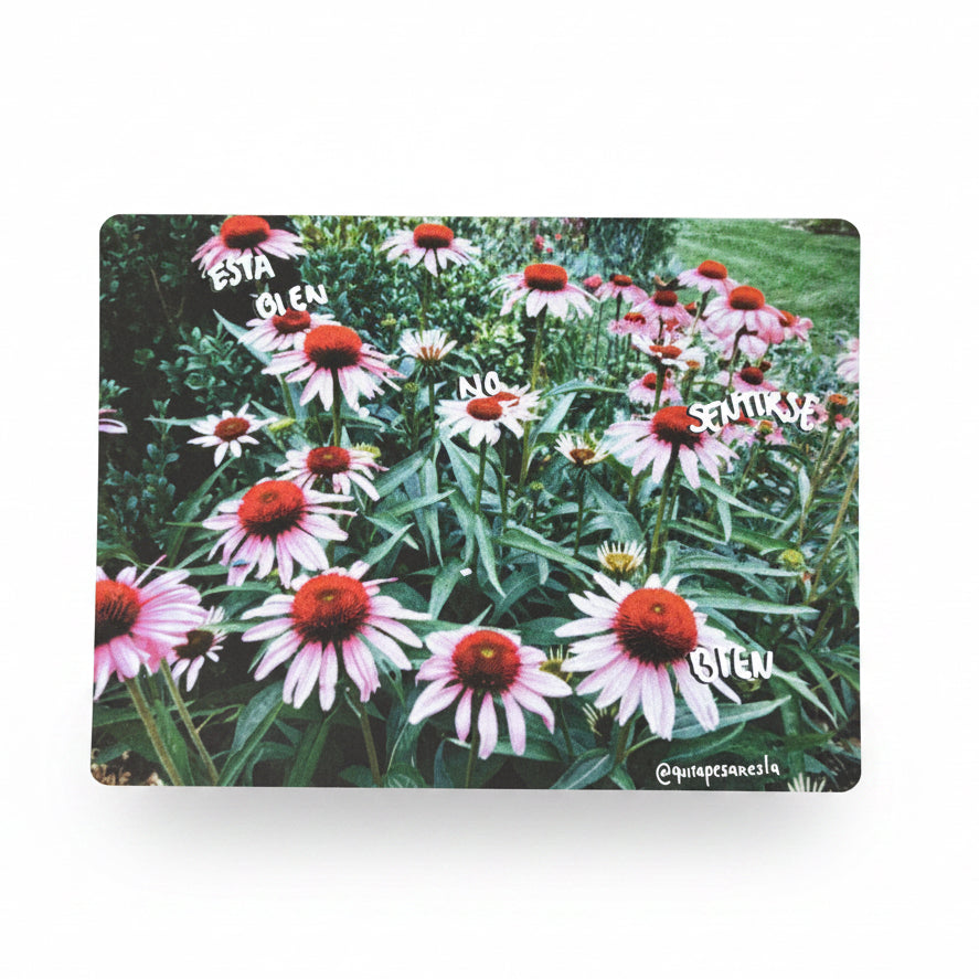 Postal flores