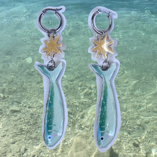 Par de aretes pez y estrella