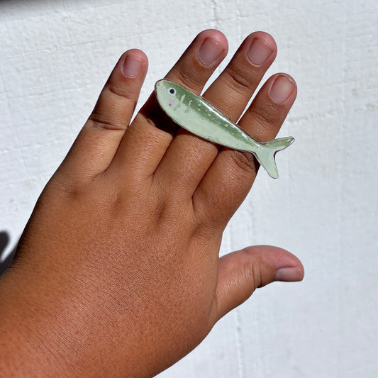 Anillo pez